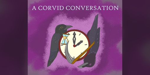 Cover image for A Corvid Conversation
