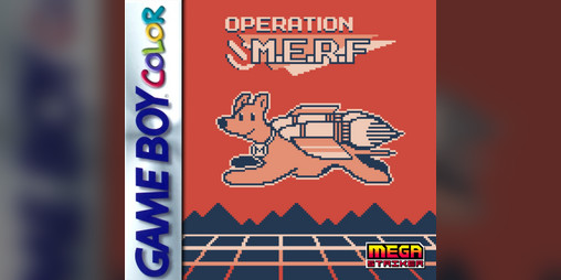 Cover image for Operation MERF
