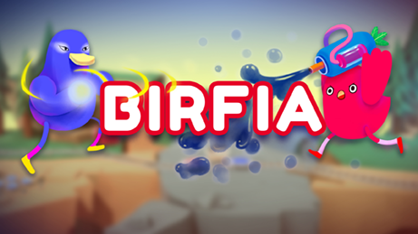 Cover image for BIRFIA