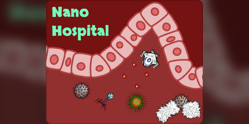 Cover image for Nanohospital