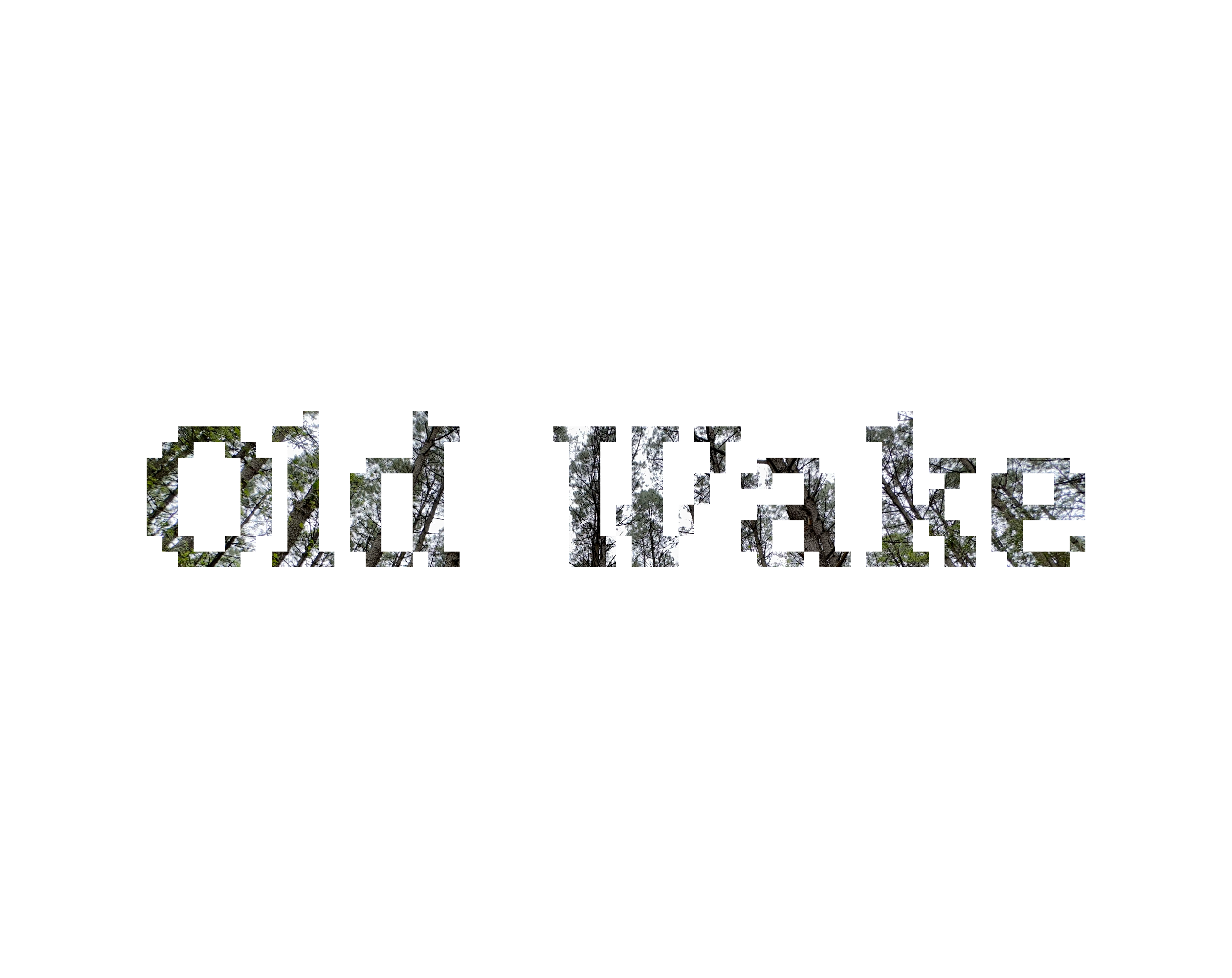 Old Wake