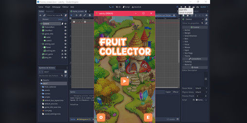 Cover image for Fruit collector
