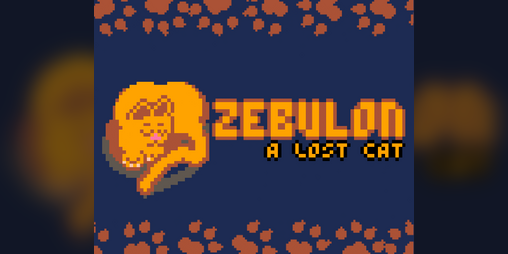 Cover image for Zebulon: A Lost Cat