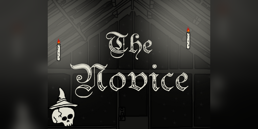 Cover image for The Novice