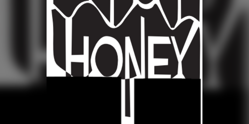 Cover image for Honey i