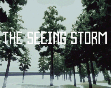 The Seeing Storm