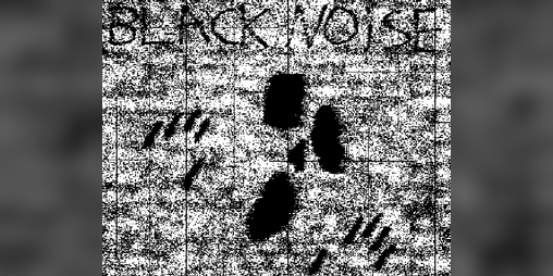 Cover image for Black Noise