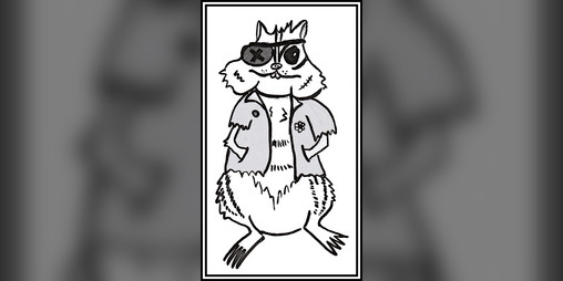 Cover image for Chipmunk Street Tough