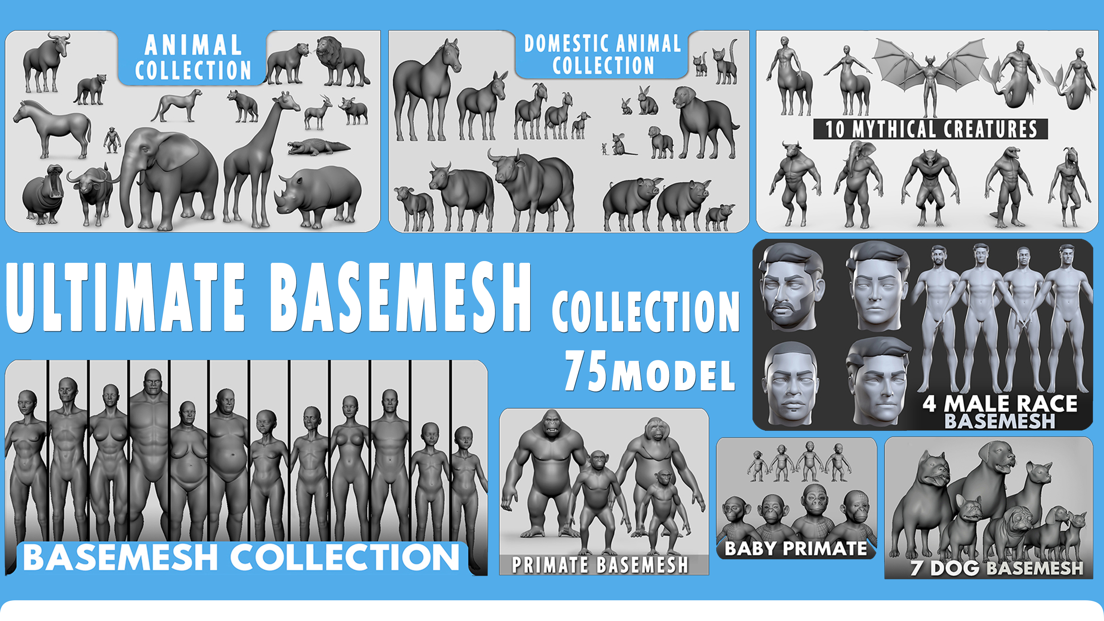 Ultimate Basemesh Collection ( 75 Assets)