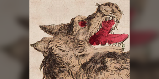 Cover image for The Affair of the Brown Dog: A Candela Obscura Assignment