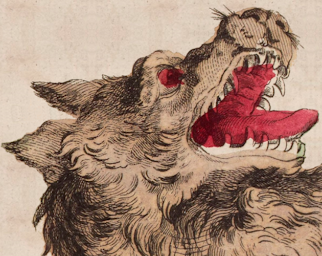 Cover image for The Affair of the Brown Dog: A Candela Obscura Assignment