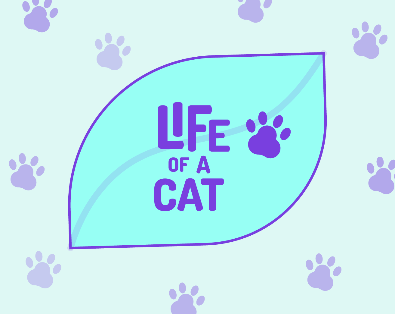 LIFE OF A CAT