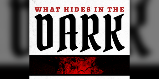 Cover image for What Hides in the Dark
