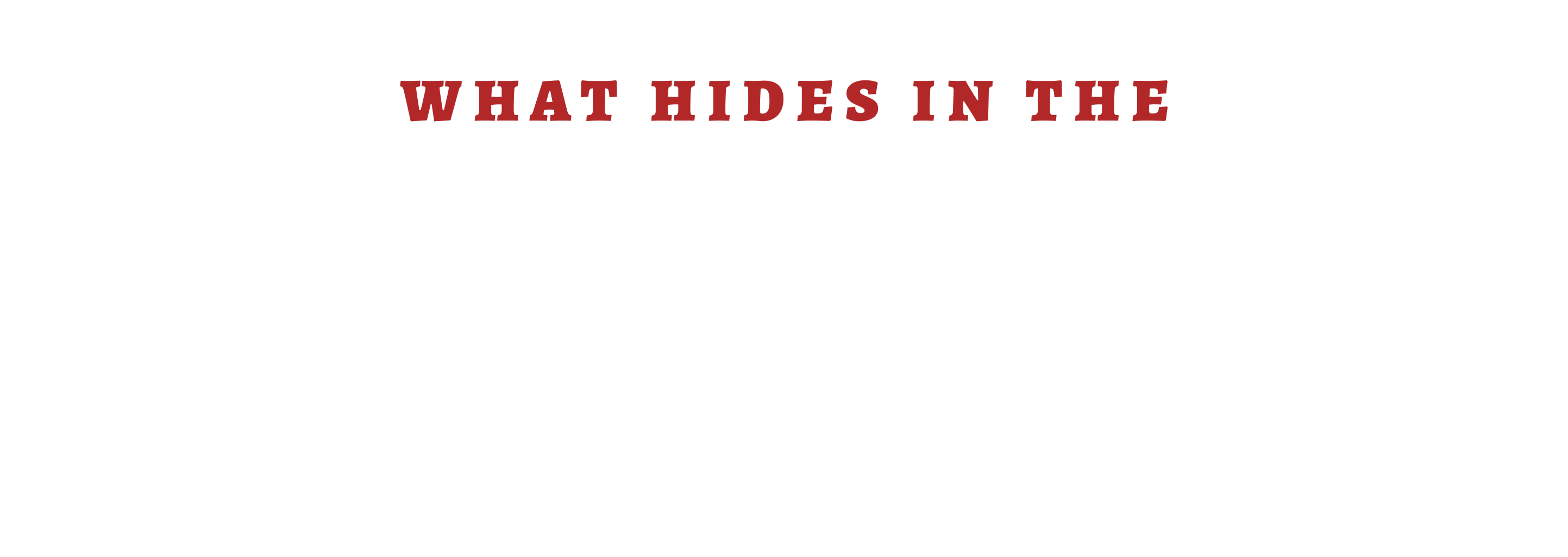 What Hides in the Dark