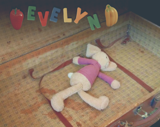 Cover image for EVELYN