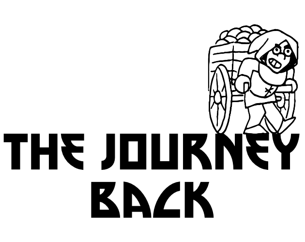 Cover image for The journey back