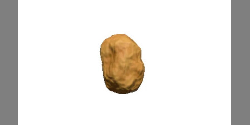 Cover image for Forever Nugget