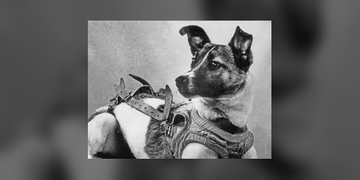 Cover image for Laika, Space Dog