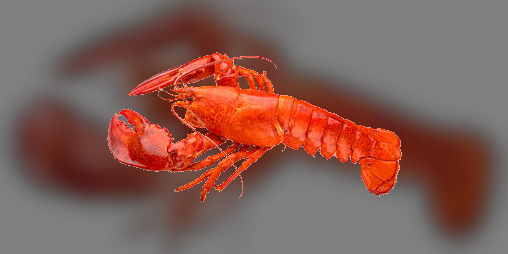 Cover image for lobster