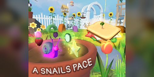 Cover image for A Snail's Pace