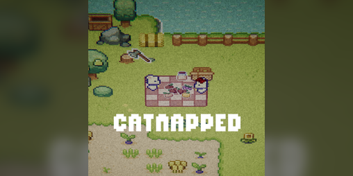 Cover image for Catnapped
