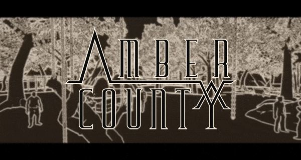 Cover image for Amber County