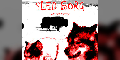 Cover image for SLED BORG