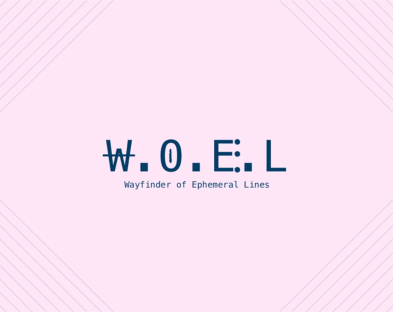Cover image for W.O.E.L