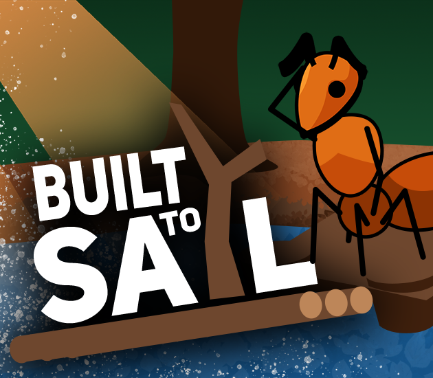 Built To Sail