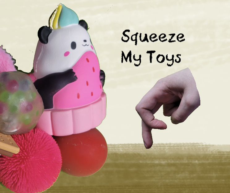 Cover image for Squeeze My Toys