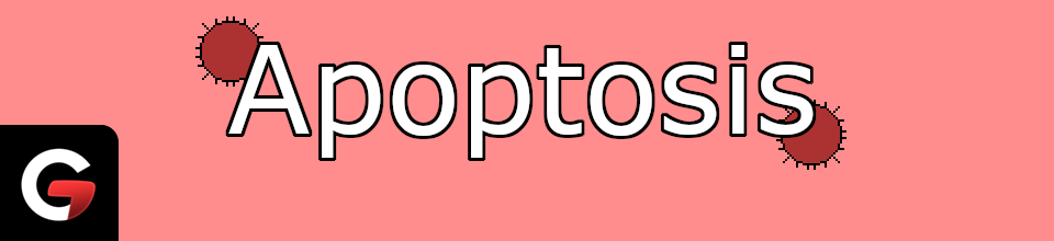 Apoptosis