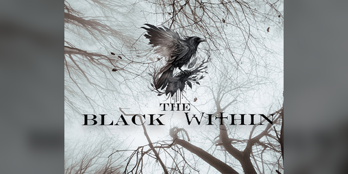 Cover image for The Black Within