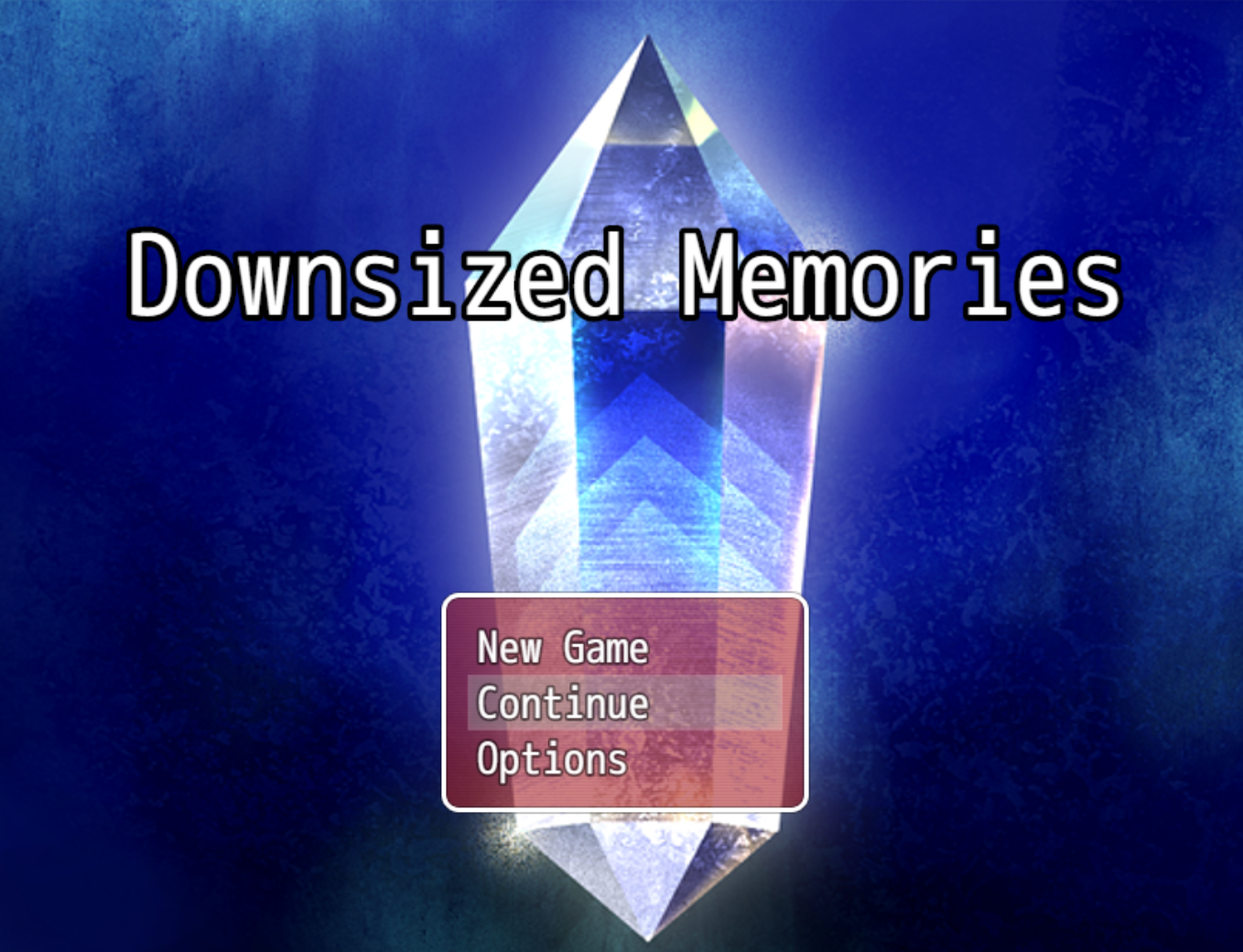 Cover image for Downsized Memories