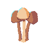 Little Brown Mushrooms