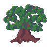 Oak Tree