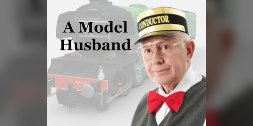 Cover image for A Model Husband