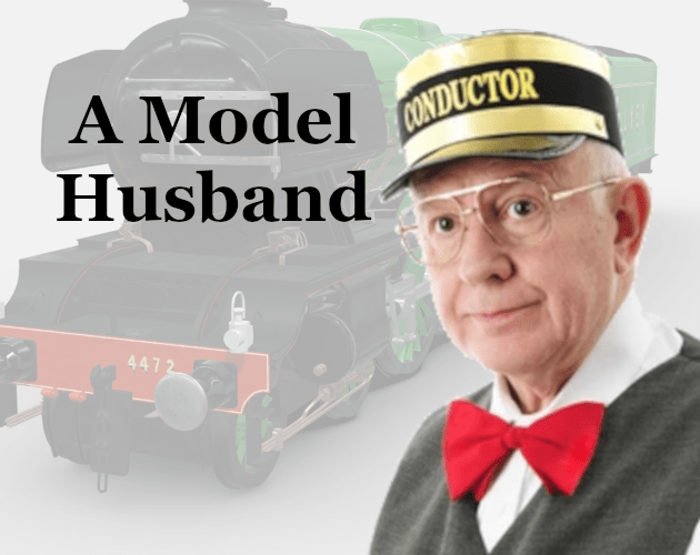 Cover image for A Model Husband