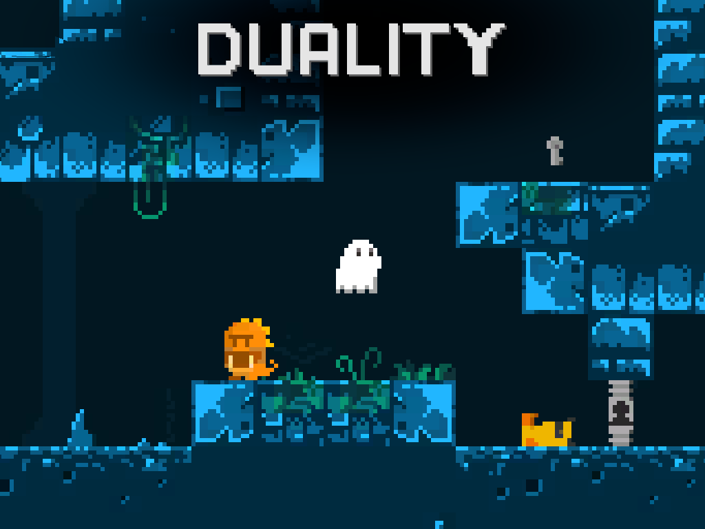 Cover image for Duality