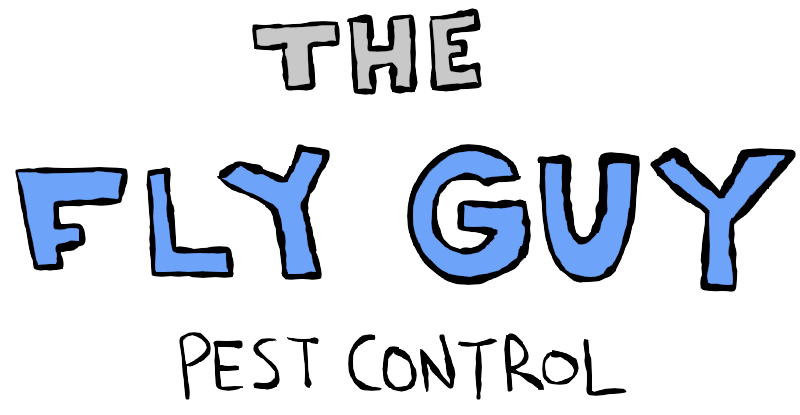 The Fly Guy