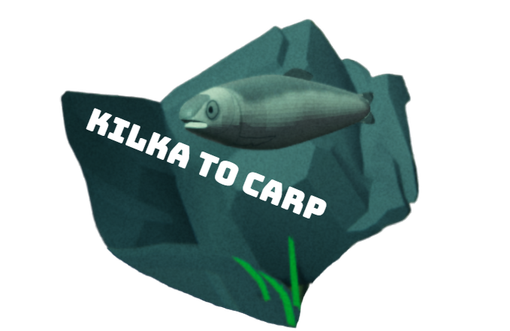 kilka to carp