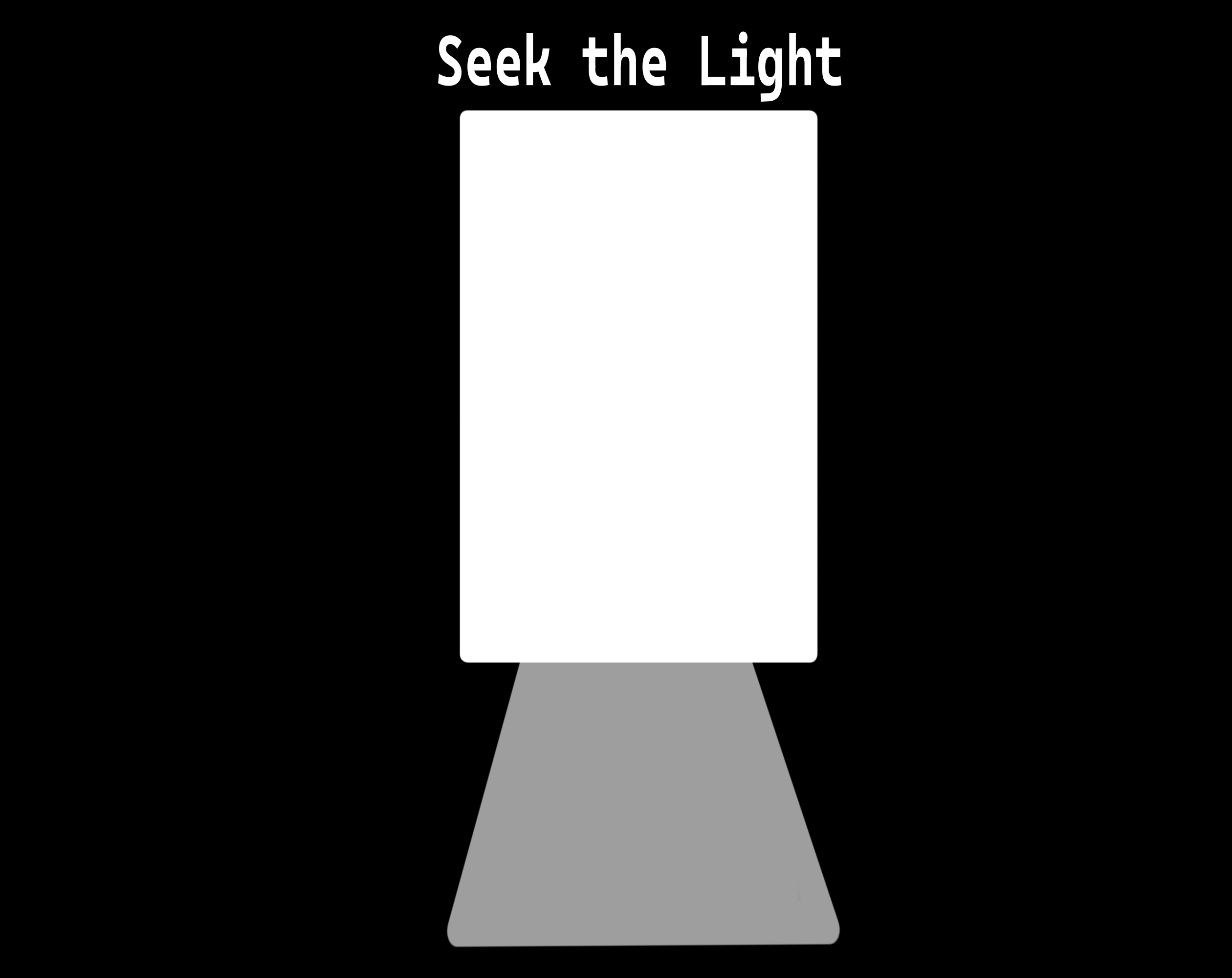 Seek the Light