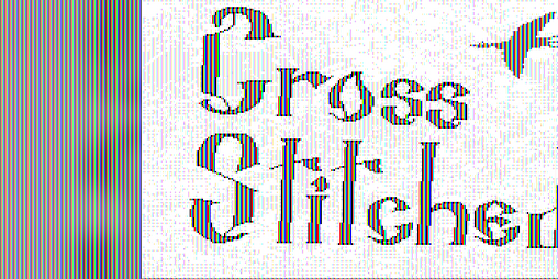 Cover image for Cross Stitched