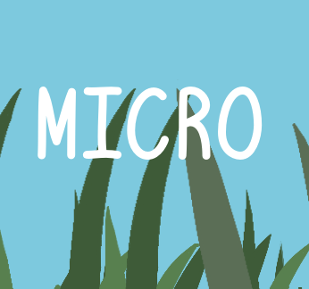 Cover image for MICRO