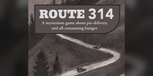Cover image for Route 314