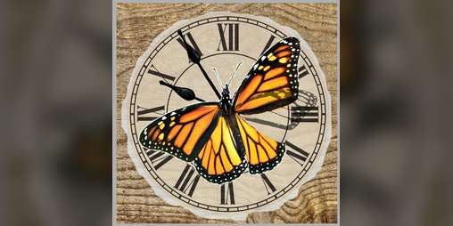 Cover image for Honey, I Broke The Timeline