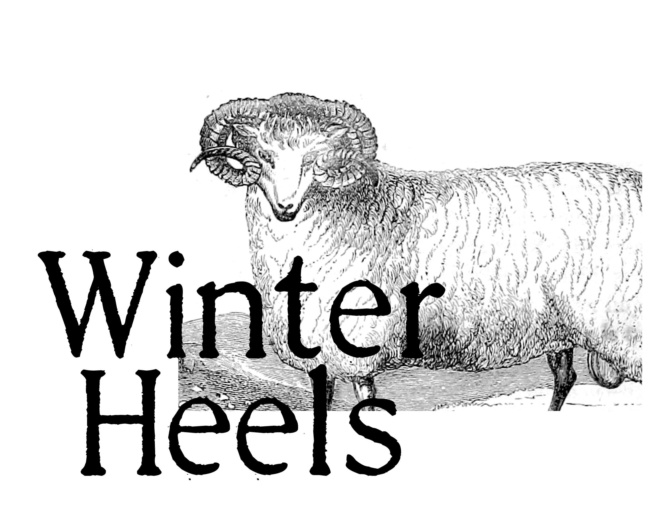 Cover image for Winter Heels