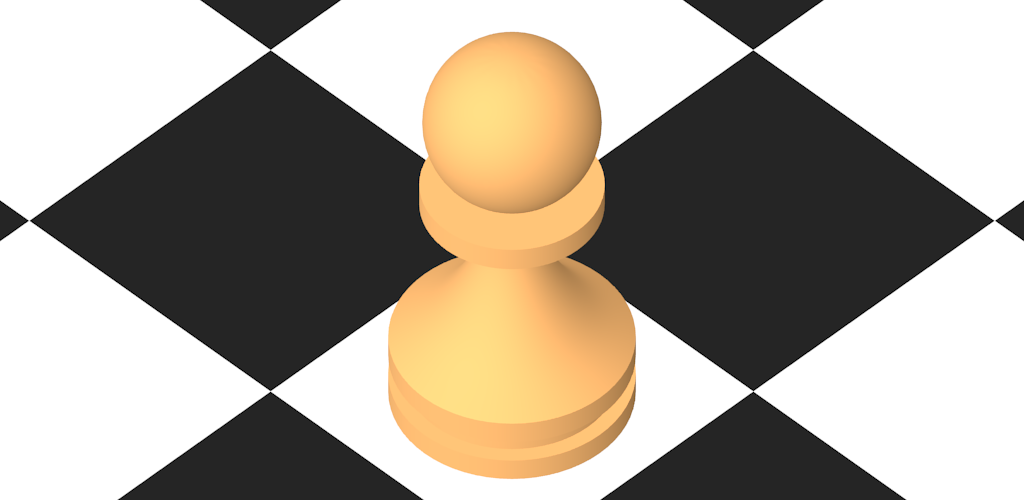 Cover image for Chess Labyrinths