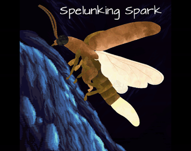Cover image for Spelunking Spark