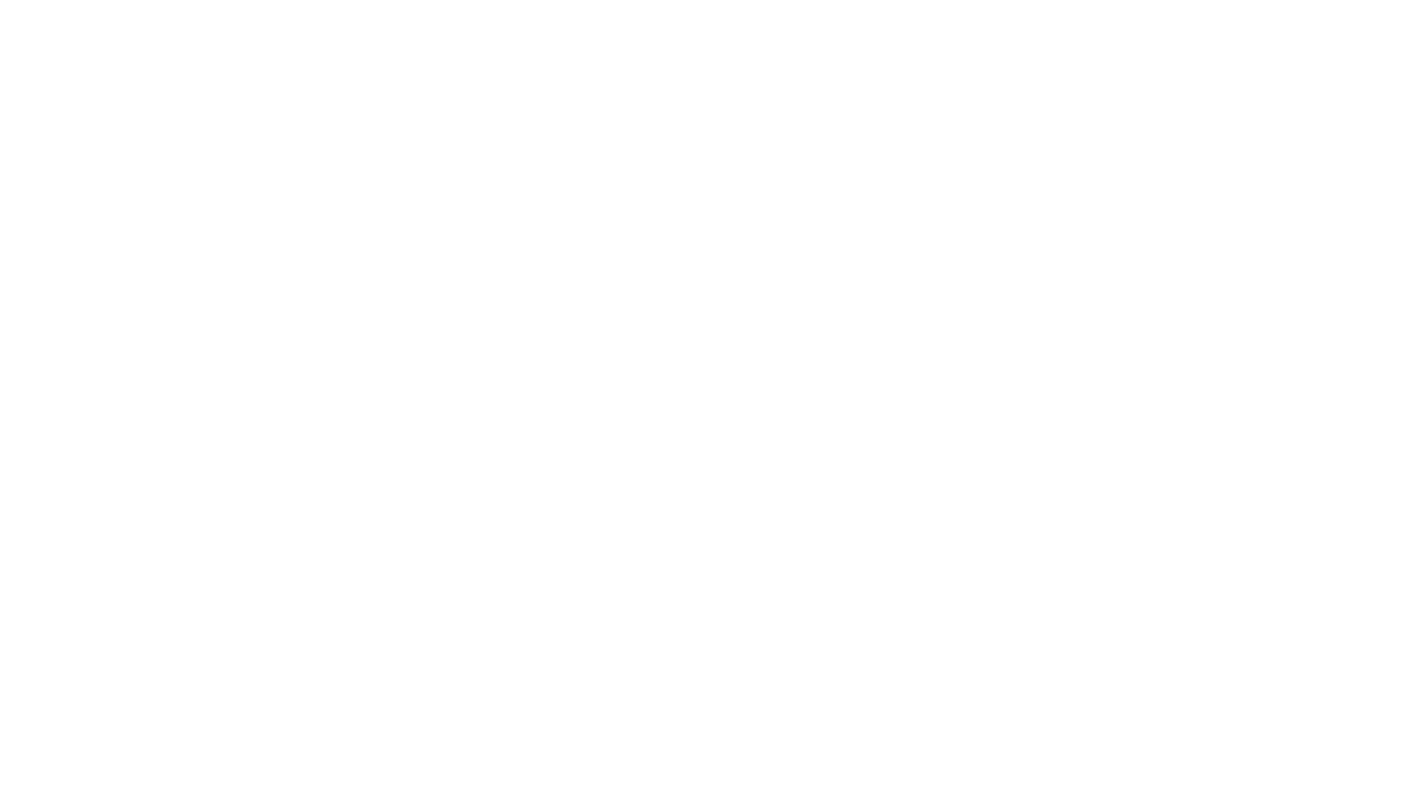 pong.