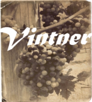 Cover image for Vintner